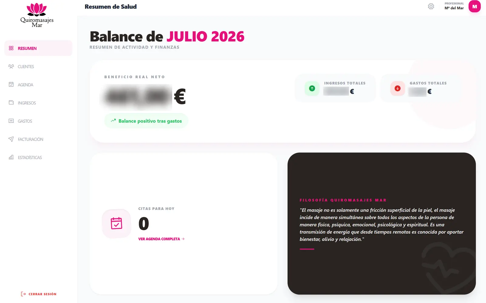 Panel de facturación y balance para negocios de bienestar, software de pago único Todo Controlado